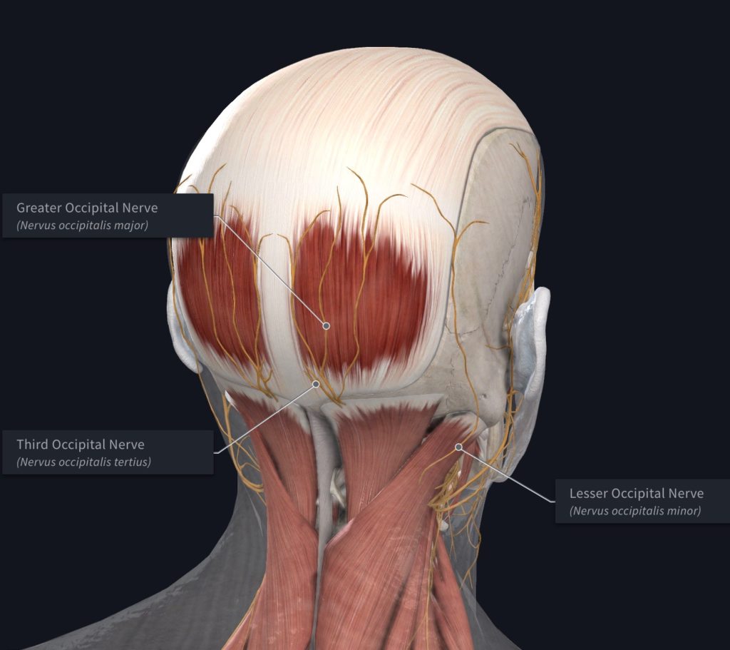 Occipital Neuralgia Treatment CA | Nerve Pain Treatment Santa Barbara