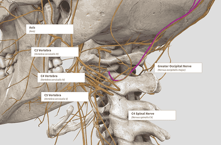 cervical decompression and nerve decompression