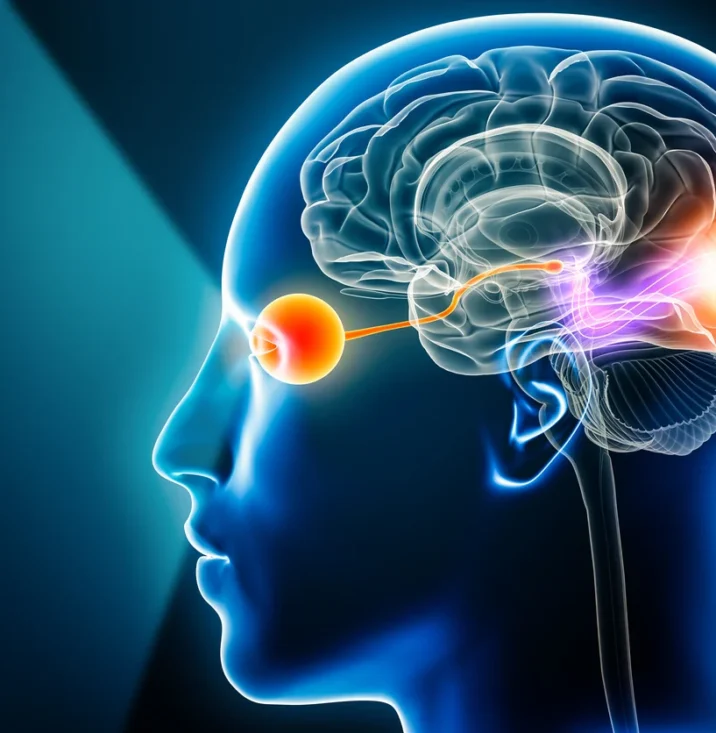 Nerve pain back of head illustration