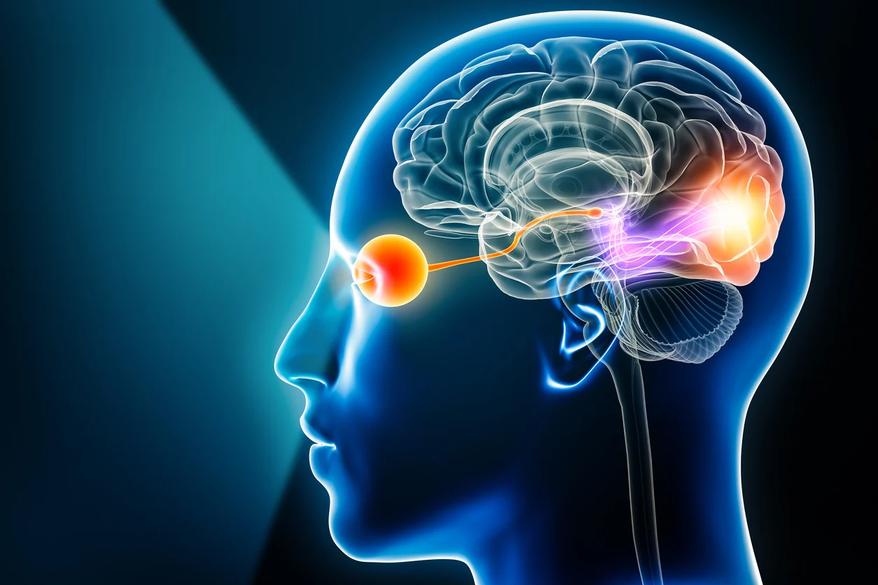 Nerve pain back of head illustration